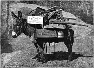 "I Helped Build the Cog Rail" - Photo by John Potter, Courtesy of Special Collections, Pikes Peak Library)