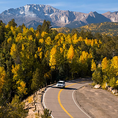 Aspens on Pikes Peak